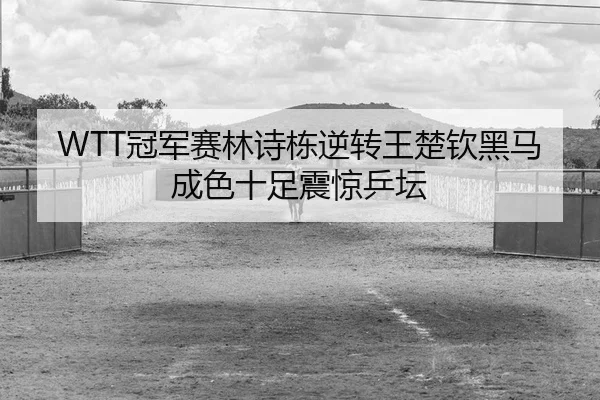 WTT冠军赛林诗栋逆转王楚钦黑马成色十足震惊乒坛